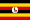 Uganda Sex Chat