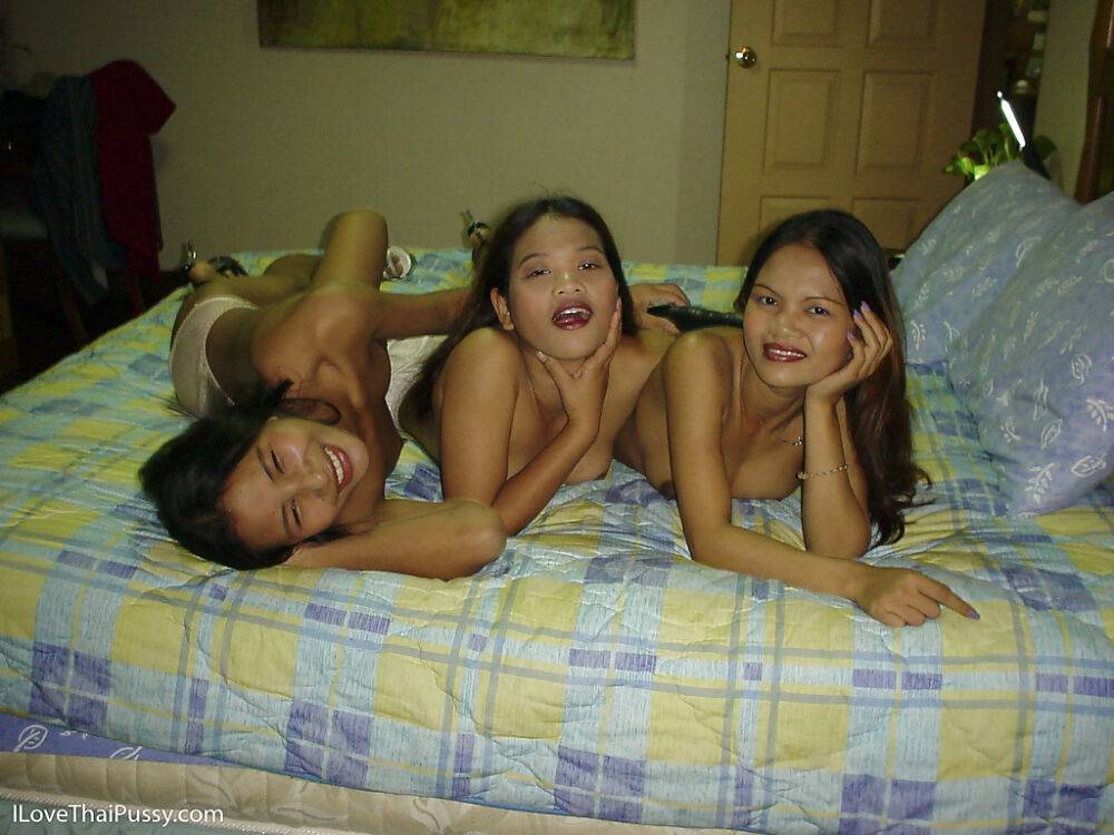 Cute Asian lesbian has exciting adventure with her young friends - #2