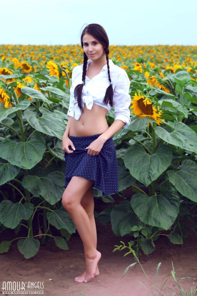 Sweet young Vanessa in pigtails spreading skinny ass naked in the sunflowers - #8