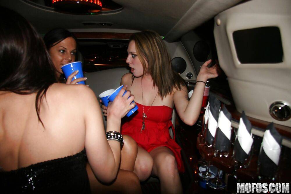 Young jizz starving sluts get shagged hardcore in the limo - #8