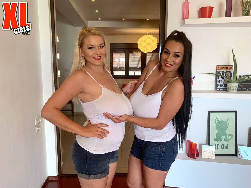 The Star sisters play with each others massive tits in denim shorts - #4