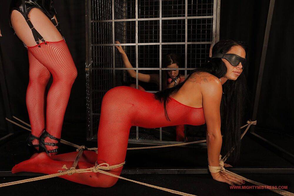 Stunning blonde mistress has some BDSM fun with her blindfolded female pet - #8