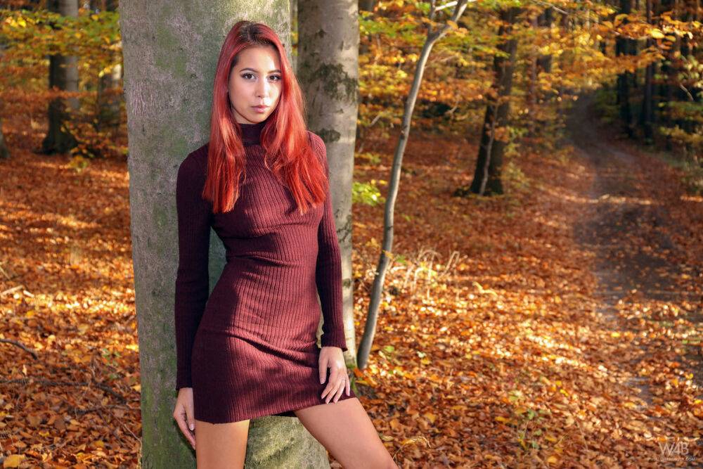 Sexy redhead Paula Shy spreads her pussy lips while naked on a forest floor - #4