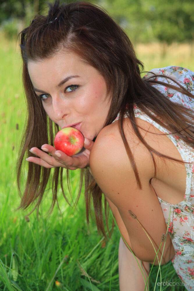 Cute teen Alex C gets totally naked in a farmer's field by herself - #8