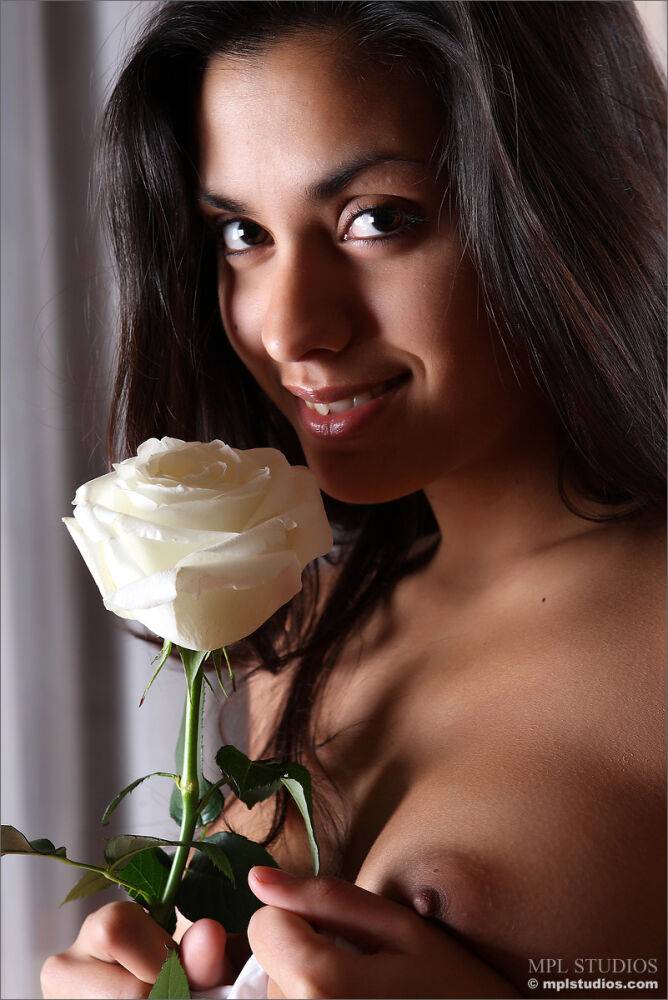 Solo model shows her toned body in the nude while holding a white rose - #2