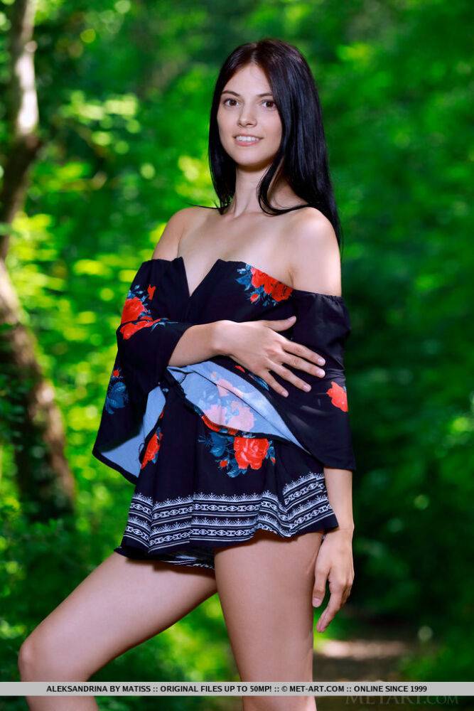 Beautiful teen Aleksandrina gets totally naked while in a forest - #9