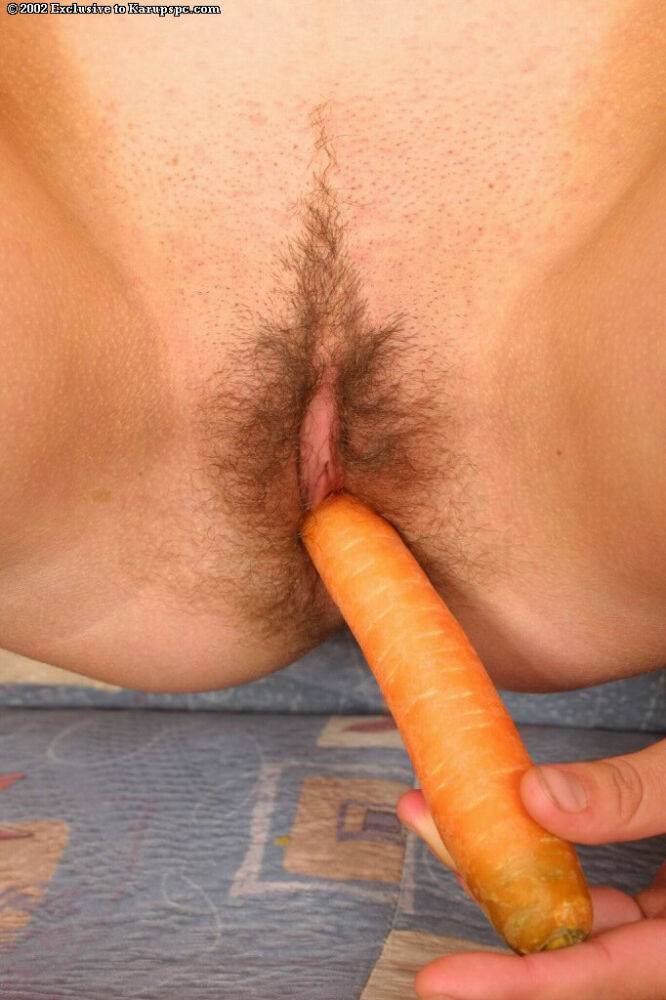 Pretty brunette babe Liza poking that hairy pussy with a carrot - #7