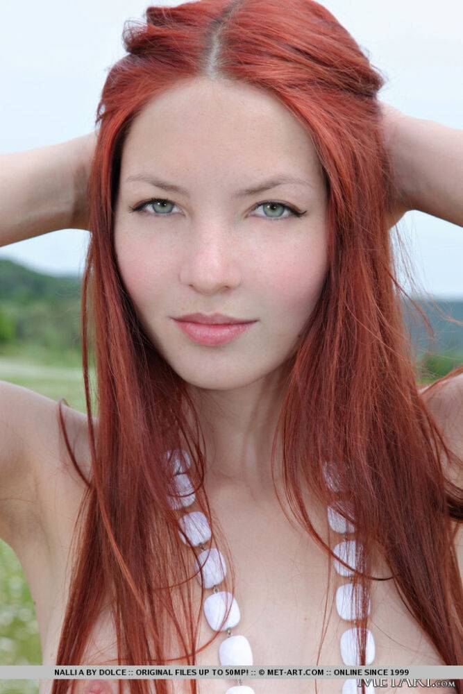 Pale redhead Nalli A showing off teeny tits & very hairy beaver in a field - #10