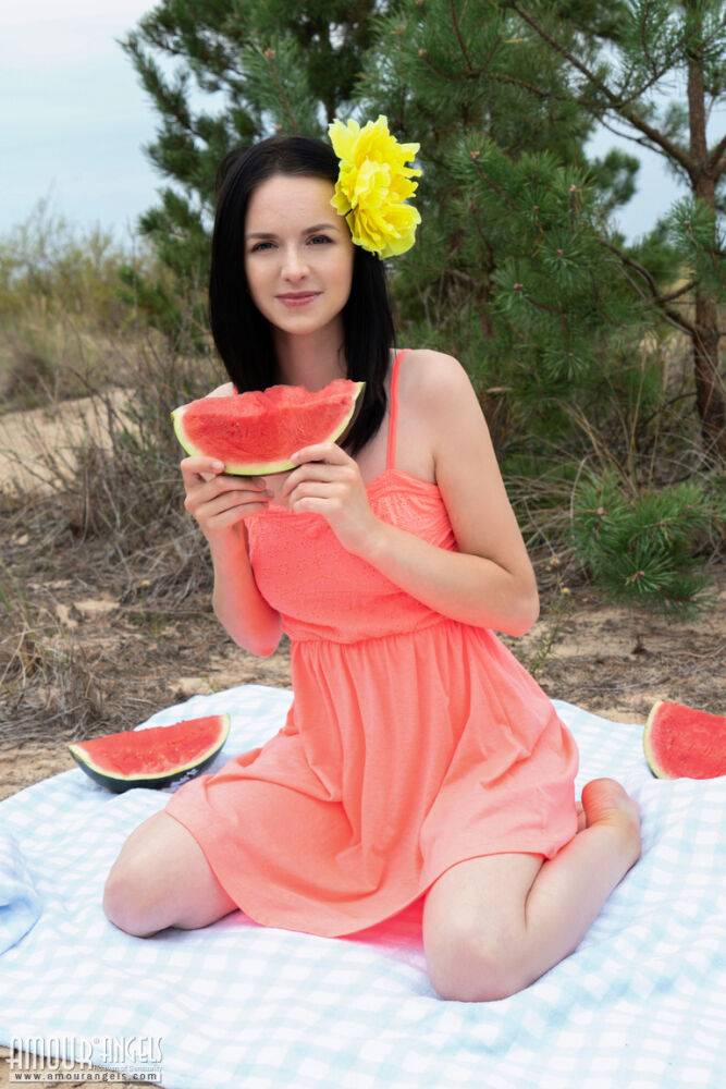 Sweet teen Stacy eats a watermelon while getting naked outdoors on a blanket - #3