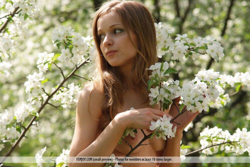 Beautiful girl Conny picks a bunch of flowers while naked in the woods - #8