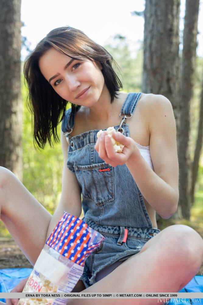 Petite teen Erna gets completely naked on a blanket in the woods - #2