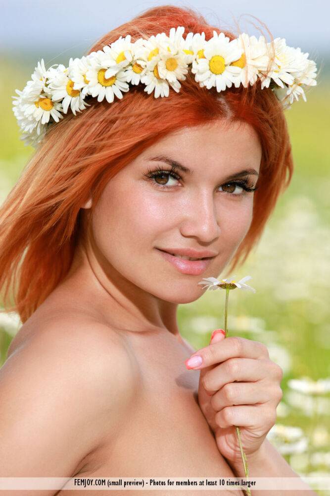 Beautiful redhead Dina P sports a crown of daisies while bare naked in a field - #5