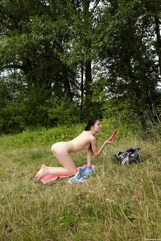 Young girl with brunette hair toys her pussy on a towel in farmer's field - #11