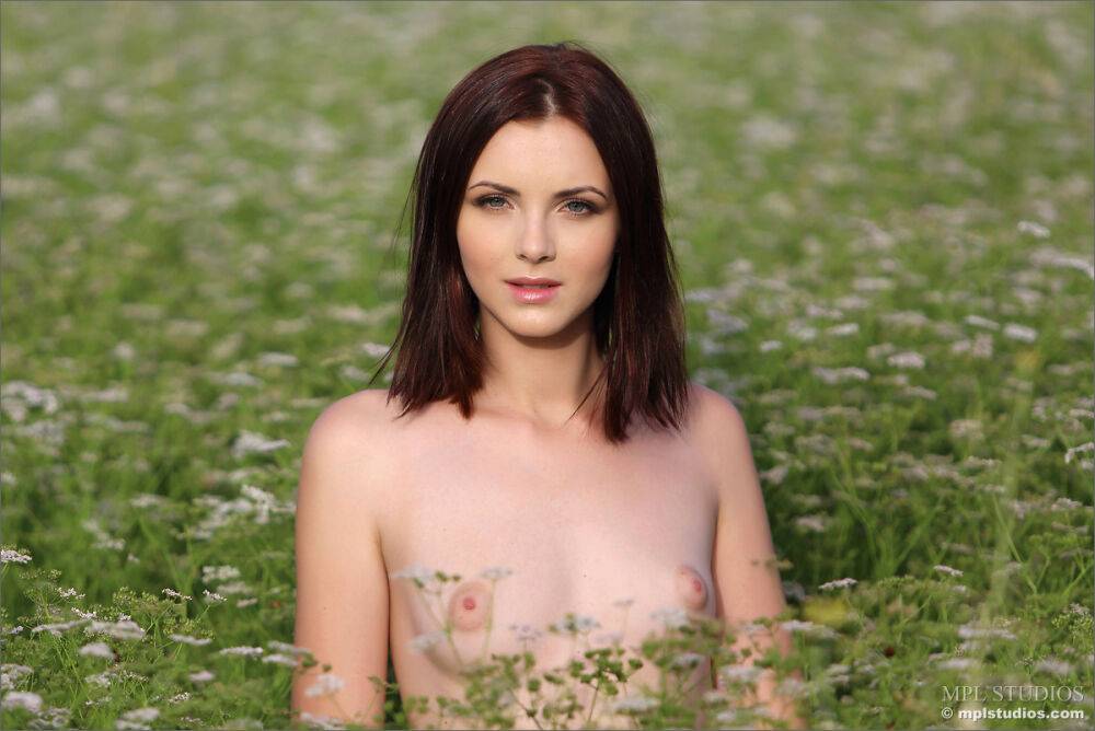 Beautiful brunette strips naked to spread ass in a field of daisies - #3