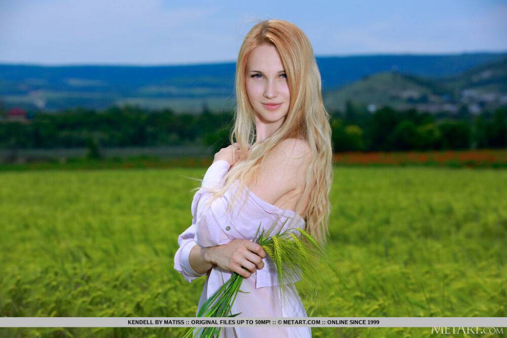 Young strawberry blonde models naked on a blanket in a field of barley - #1