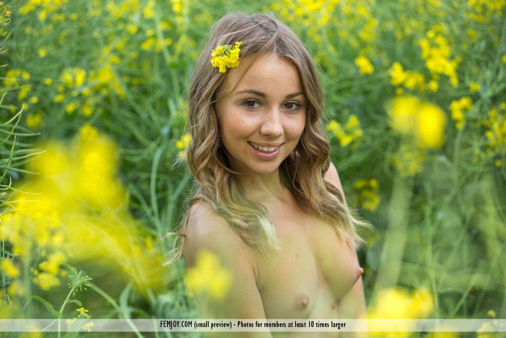 Sweet girl Linda A doffs her sun dress for great nude poses in a mustard field - #5