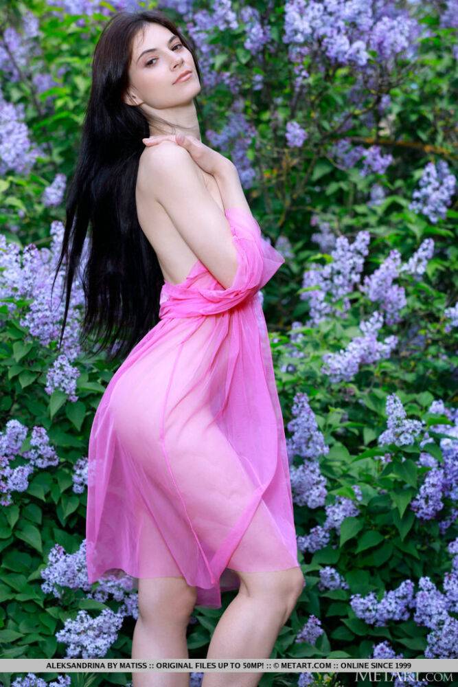 Beautiful brunette Aleksandrina gets bare naked in front of a blooming shrub - #3