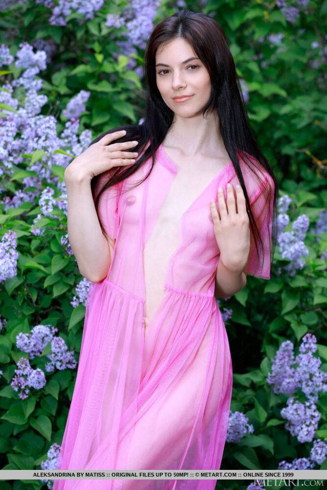 Beautiful brunette Aleksandrina gets bare naked in front of a blooming shrub - #5