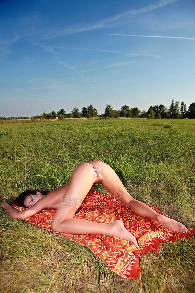 Beautiful teen Promise models naked in sheer stockings out in a field - #11