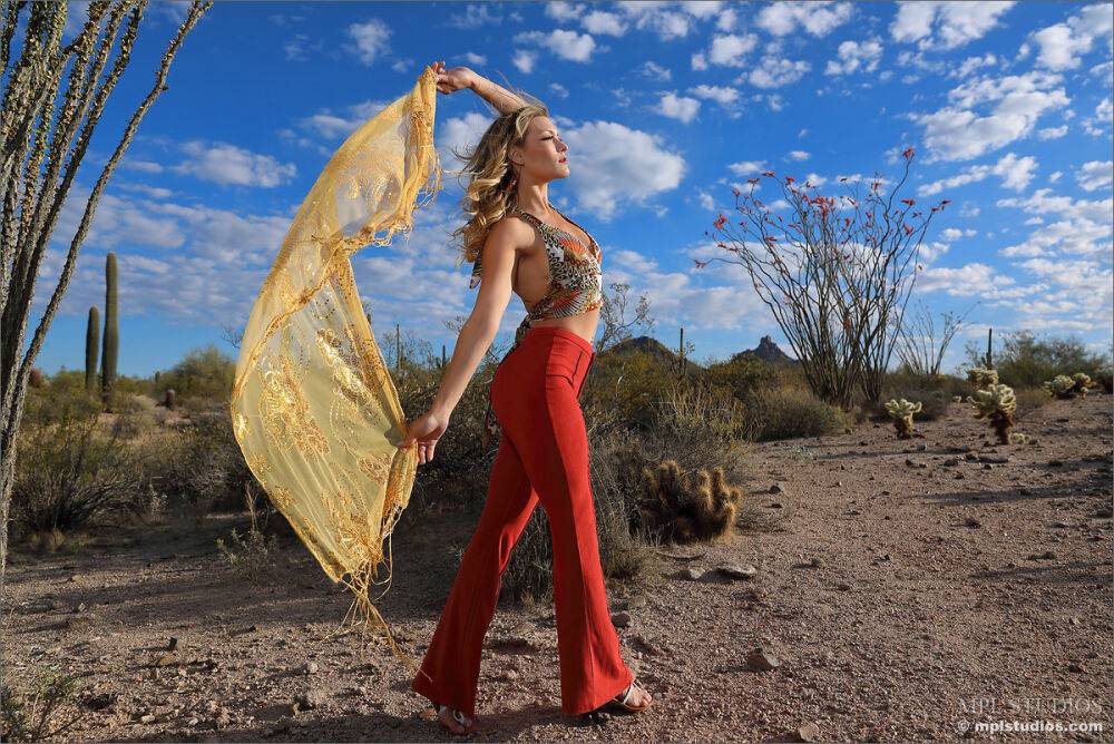 Beautiful blonde models naked in a desert setting while wearing heels - #7