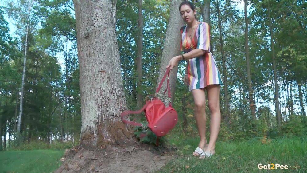 Leggy girl Diana Sweet takes a pee behind a tree while taking a shortcut - #14