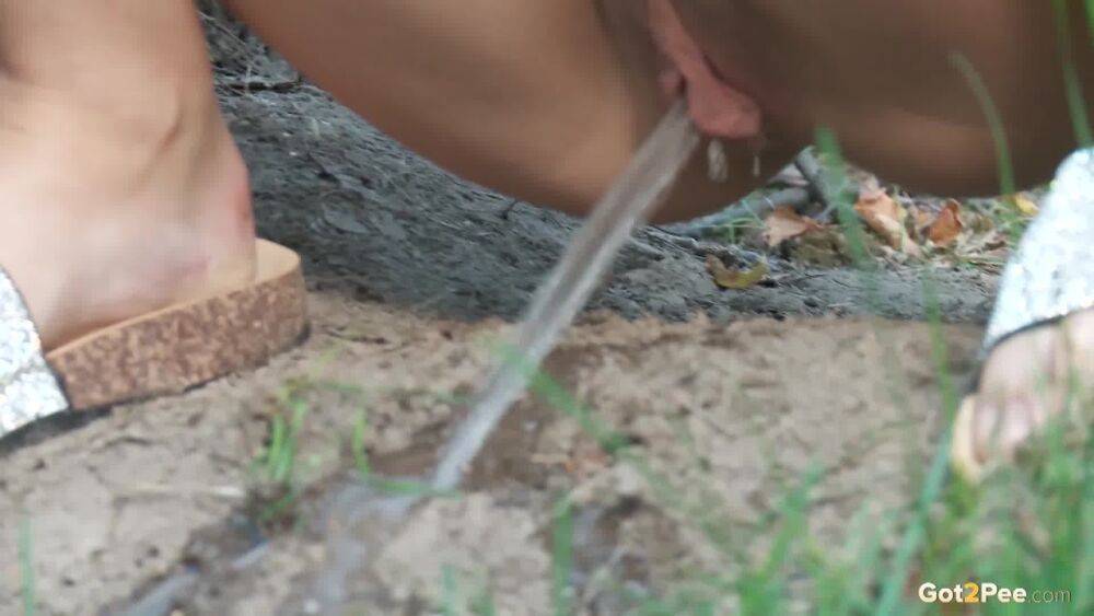 Leggy girl Diana Sweet takes a pee behind a tree while taking a shortcut - #4