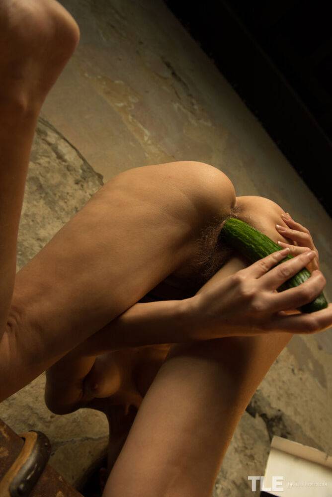 Solo girl Alexandra F slides an English cucumber up her natural vagina - #5