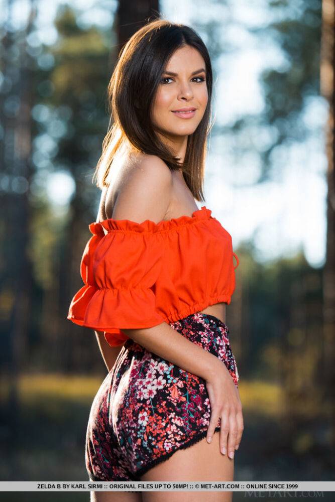 Zelda B takes off her ruffled crop top in the woods and lay down on the picnic - #10