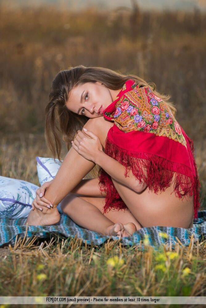 Teen model Mary Kalisy gets totally naked while having a picnic in a field - #11
