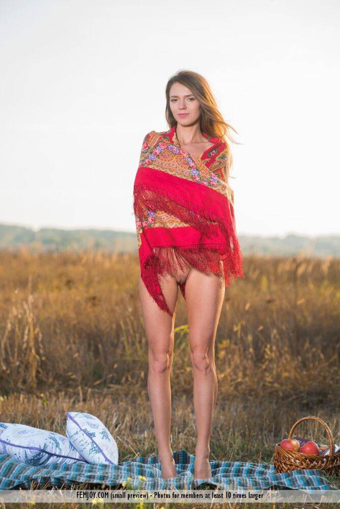 Teen model Mary Kalisy gets totally naked while having a picnic in a field - #3