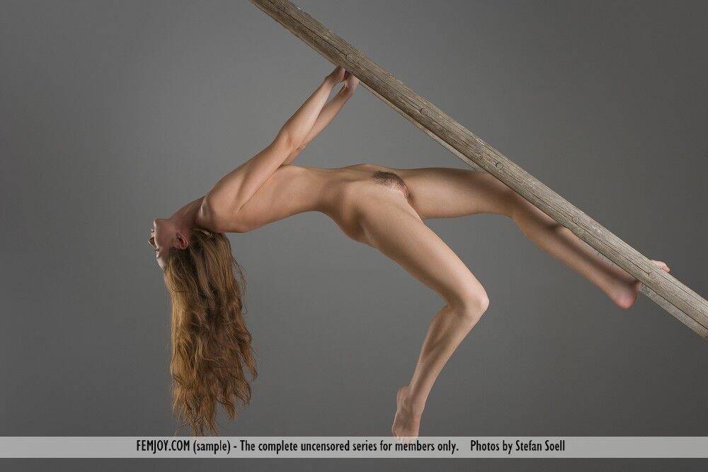 Naked white girl Alison shows her flexibility on wooden ladder - #2