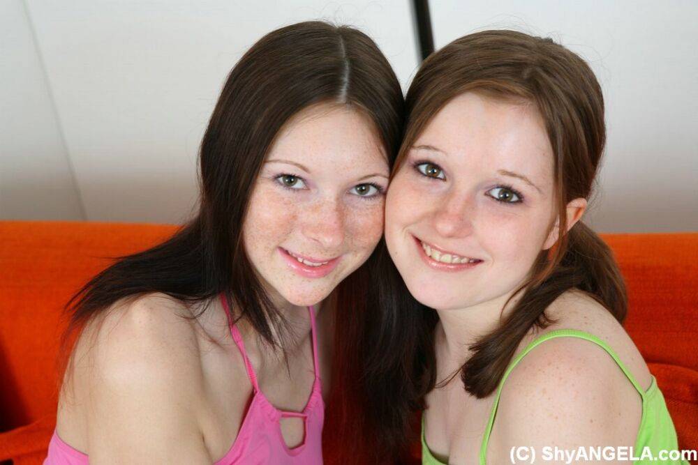 Young lesbians strip each other naked before licking pussies on a sofa - #6