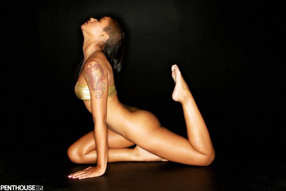 Elegant Black Hottie Skin Diamond Takes Off Her Clothes And Flaunts Her Magical Body - #13