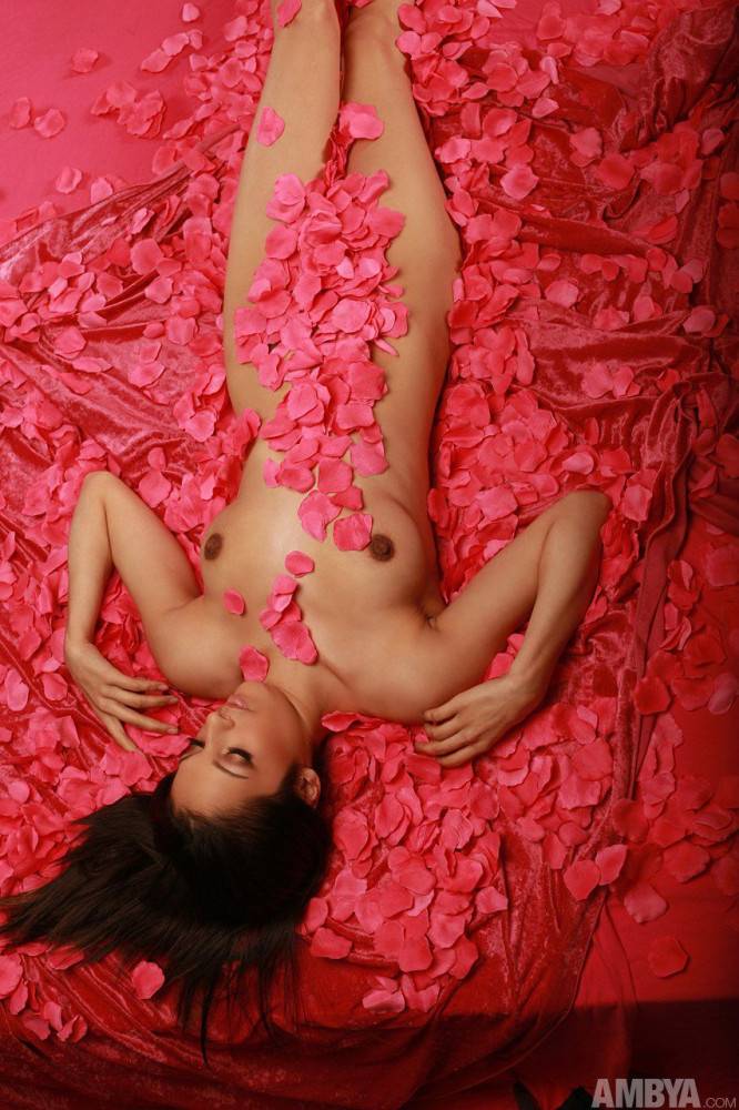 Brunette Hottie Vanessa Ambya Is Looking Smoldering Hot In All Those Rose Petals All Nude - #3