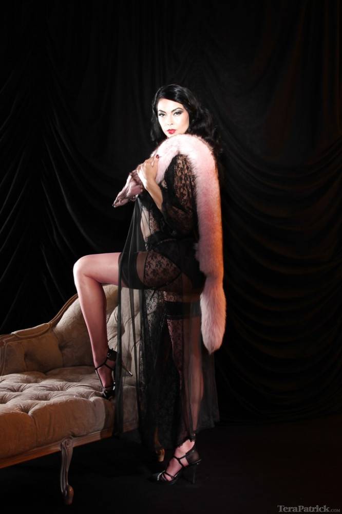 Attractive oriental brunette milf Tera Patrick in sexy hot lingerie - #13