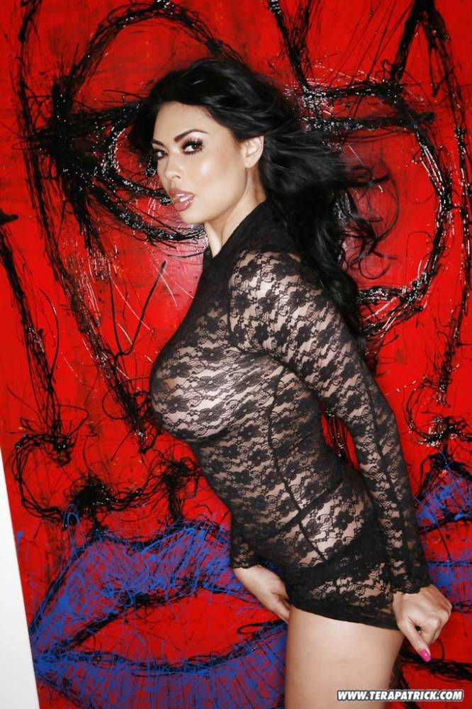 Delightful american dark hair milf Tera Patrick in hot softcore gallery - #6