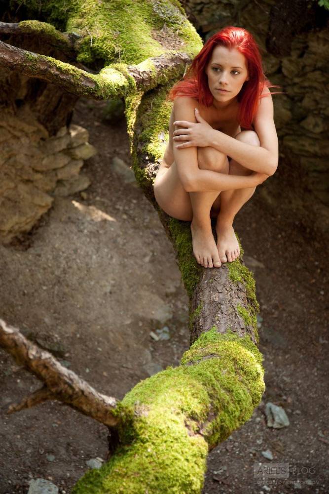 Redhead Girl Piper Fawn With Finest Boobs Poses In Her Bare Skin In The Forest | Photo: 8706021