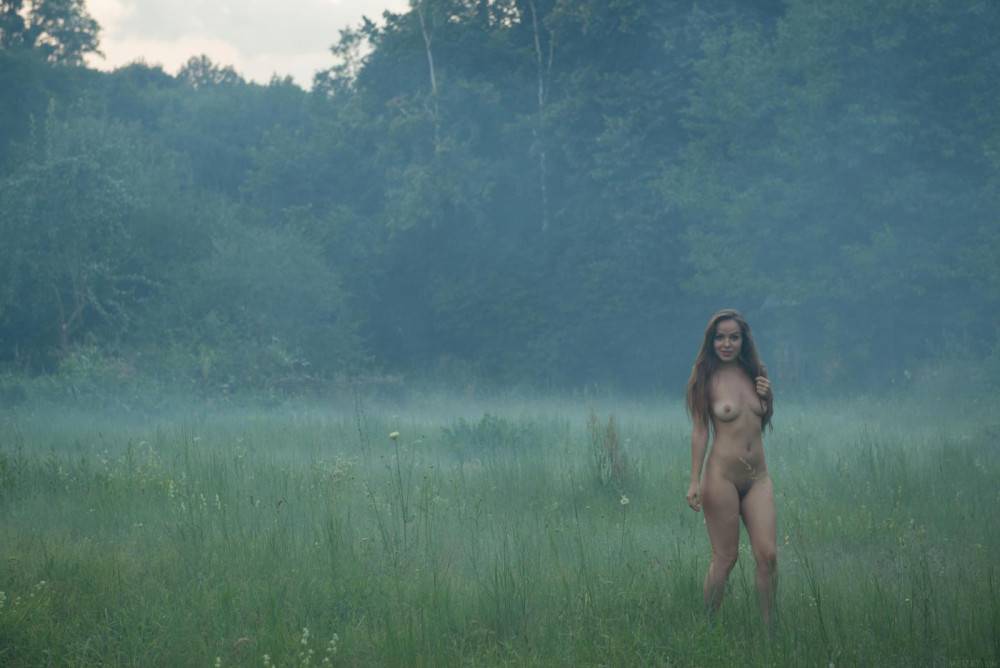Divine Teen Brunette Arina G Removes Her Clothes In The Meadow And Poses Nude - #13