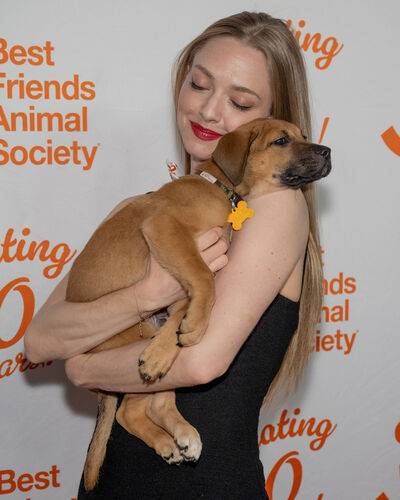 amandaseyfried mingey - #9