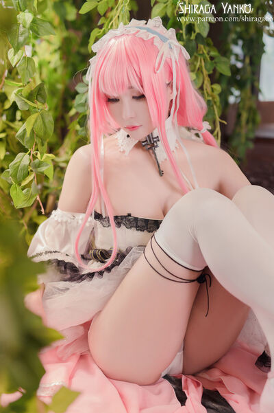 shiraga66 shiraga_cosplay shiragayanko66 - #7