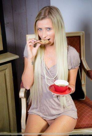 Solo girl with long blonde hair Lisa Dawn gets naked after tea and a cookie on nudesceleb.com