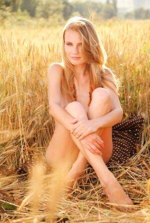 Young blonde beauty Frida C models naked while in a field of wheat on nudesceleb.com