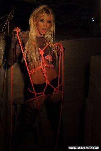 Brittney Skye Is A Ravishing Blonde Pornstar That Can Make Ropes Look Like The Perfect Sex Toy. on nudesceleb.com