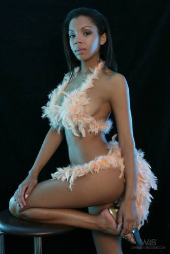 Perfectly Shaped Ebony Babe Luciana Exposes Her Soft Skinned Body From Every Angle on nudesceleb.com
