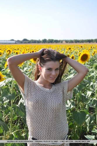 The Naked Body Of Cute Teen Valeria A Looks Great In The Sun Flowers Field on nudesceleb.com