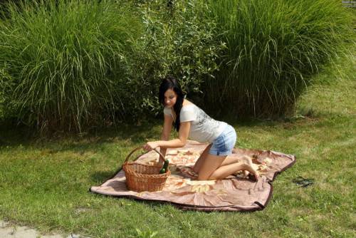 Sexy Brunette Abbie Cat Has Arranged The Picnic With Stripping And Hot Dildo Fucking on nudesceleb.com